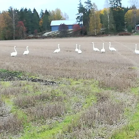 Jaala Hotel Guesthouse 3*